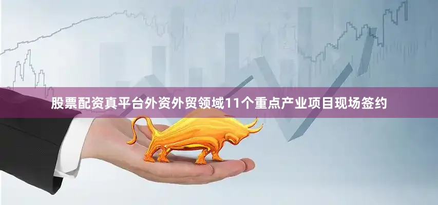 股票配资真平台外资外贸领域11个重点产业项目现场签约