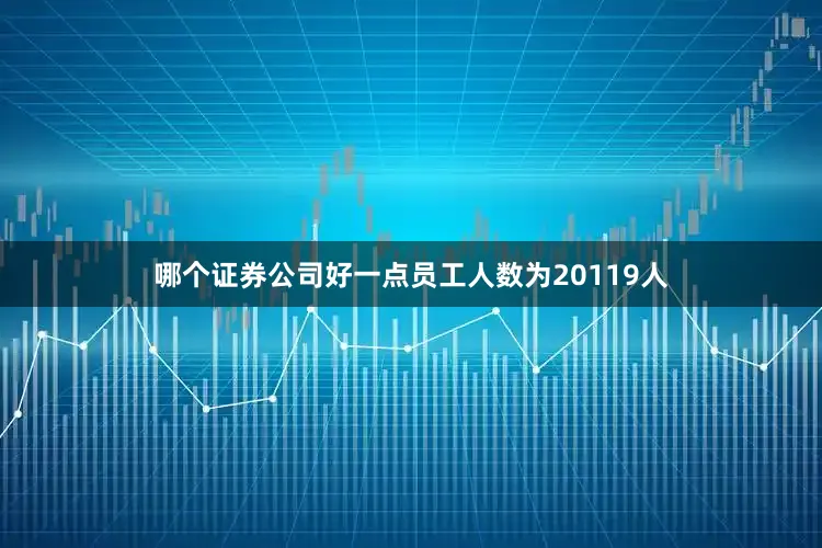 哪个证券公司好一点员工人数为20119人